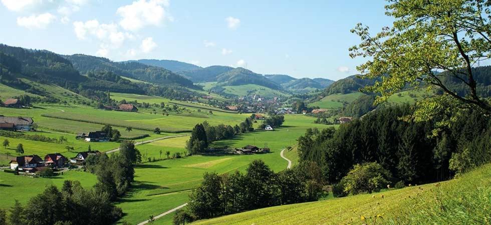 Gasthaus Zum Wilden Mann Welschensteinach Exterior foto