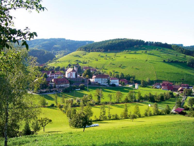 Gasthaus Zum Wilden Mann Welschensteinach Exterior foto